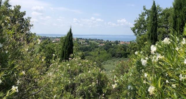 Bild - KNIPFER IMMOBILIEN – VILLA MIT SEEBLICK IN LAZISE