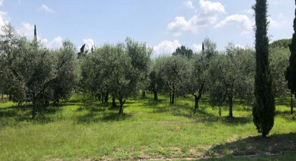 Bild - KNIPFER IMMOBILIEN – VILLA MIT SEEBLICK IN LAZISE