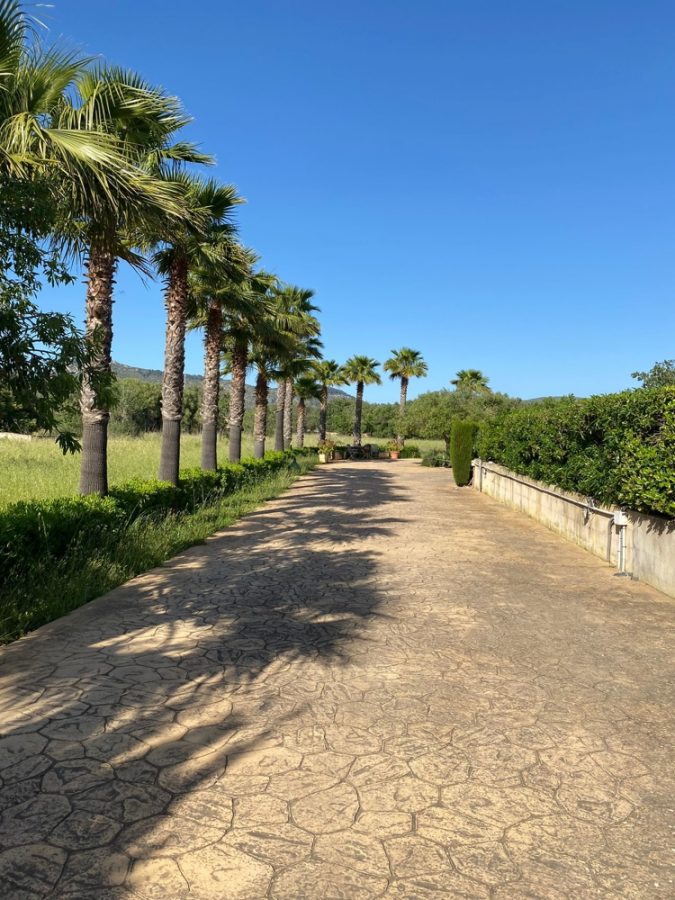 Bild - MALLORCA BROKER – Finca mit Pool und Gästehaus bei Llucmajor zum Kauf