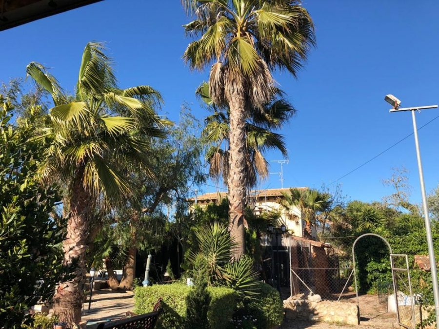 Bild - MALLORCA BROKER – Finca mit Pool und Gästehaus bei Llucmajor zum Kauf