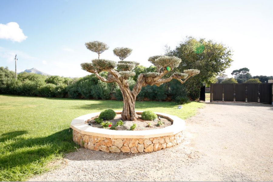 finca6 - KNIPFER IMMOBILIEN – Mallorca – Luxuriöse Finca mit Pool in Alcudia zum Kauf!