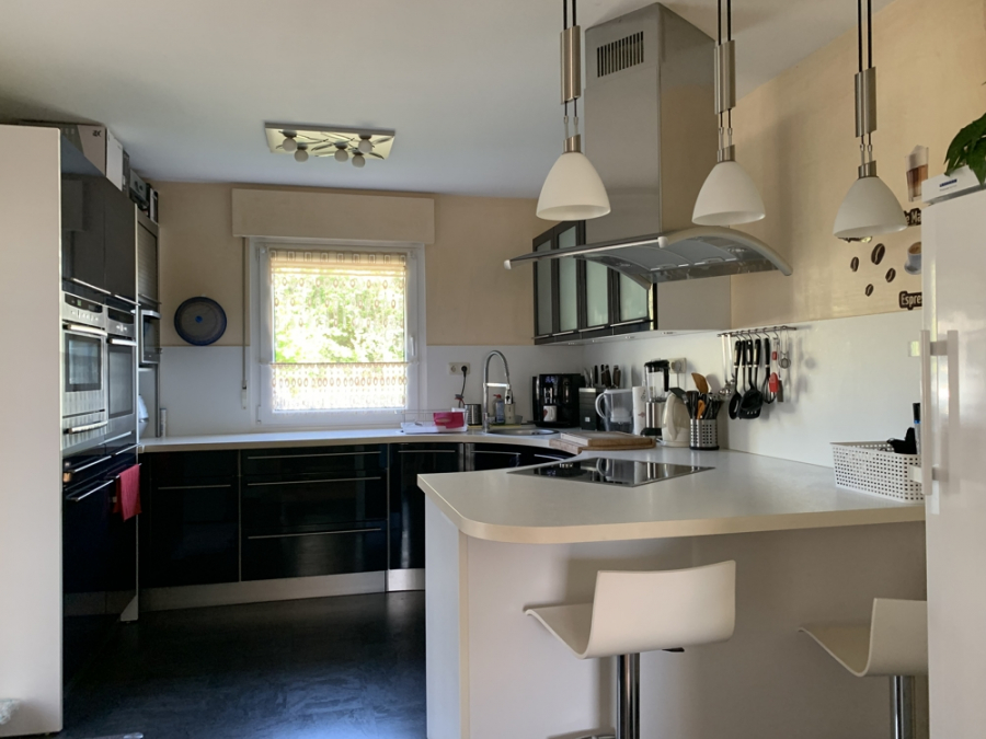 Bild - KNIPFER`S IMMOBILIENSCHÄTZE – Großzügiges EFH mit Einliegerwohnung, Doppelgarage und tollem Garten