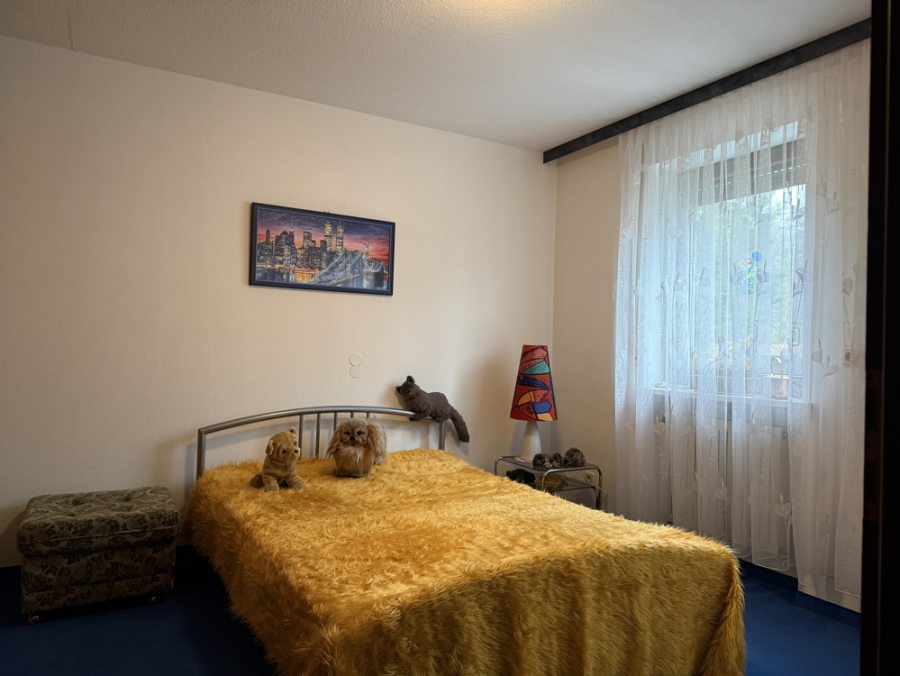 Bild - KNIPFER IMMOBILIEN Großzügige Villa mit Traumgarten, Dachterrasse & Einliegerwohnung in Thierhaupten