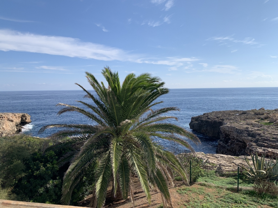 Bild - Villa in 1. Meereslinie in Cala D´Or zum Kauf