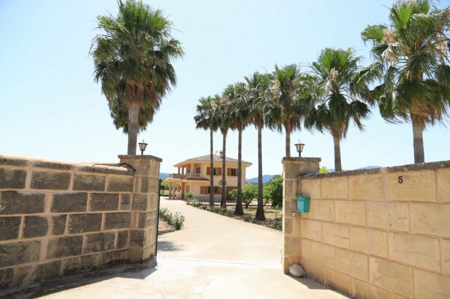 Bild - MALLORCA BROKER – Finca mit Pool und Obstplantage bei Palma zum Kauf