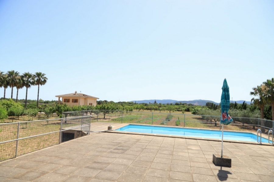 Bild - MALLORCA BROKER – Finca mit Pool und Obstplantage bei Palma zum Kauf