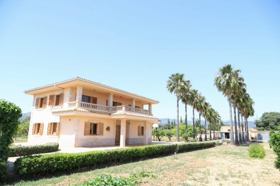 Bild - MALLORCA BROKER – Finca mit Pool und Obstplantage bei Palma zum Kauf