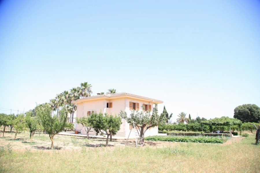 Bild - MALLORCA BROKER – Finca mit Pool und Obstplantage bei Palma zum Kauf