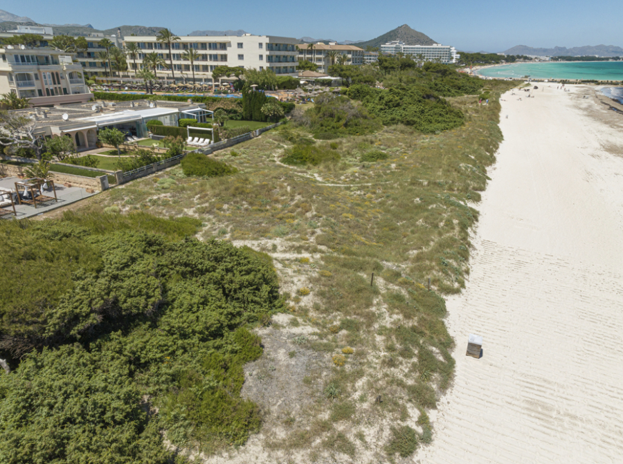 Bild - MEIN TRAUMHAUS AM MEER – Seltene Gelegenheit direkt am Strand ein Haus zu kaufen!