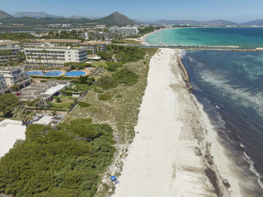 Bild - MEIN TRAUMHAUS AM MEER – Seltene Gelegenheit direkt am Strand ein Haus zu kaufen!