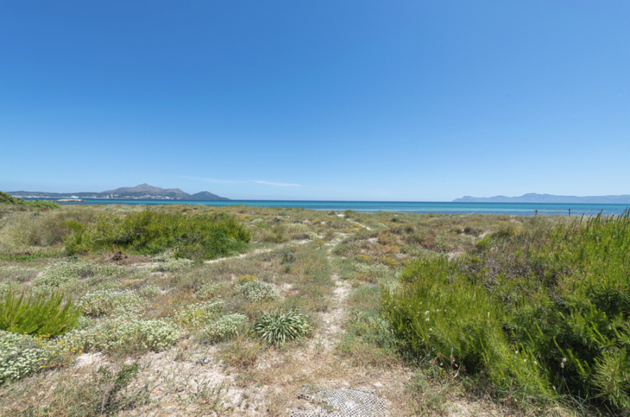 Bild - MEIN TRAUMHAUS AM MEER – Seltene Gelegenheit direkt am Strand ein Haus zu kaufen!