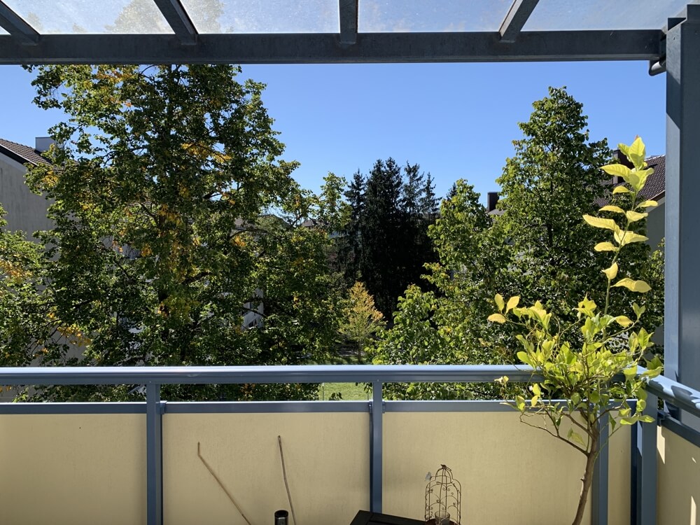 Gepflegte 3 ZKB mit Südbalkon in Pasing zum Kauf