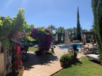 MALLORCA BROKER - Finca mit Pool und Gästehaus in Pollensa zum Kauf - Garten