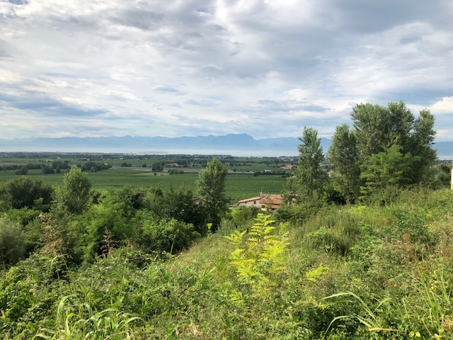 Peschiera 3 - Grundstück mit unverbaubarem Seeblick in Peschiera del Garda zum Kauf!