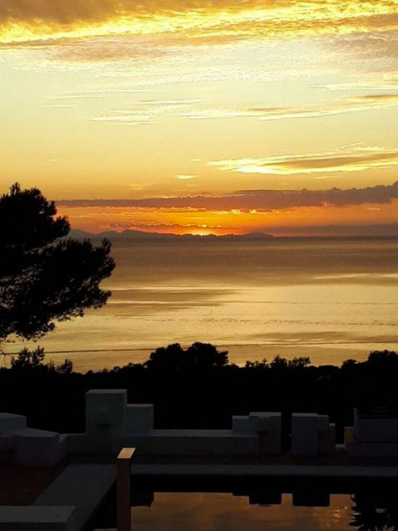 Bild - IBIZA LUXUS PUR – Villa direkt am Meer